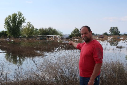 daniel palamas kokoulis